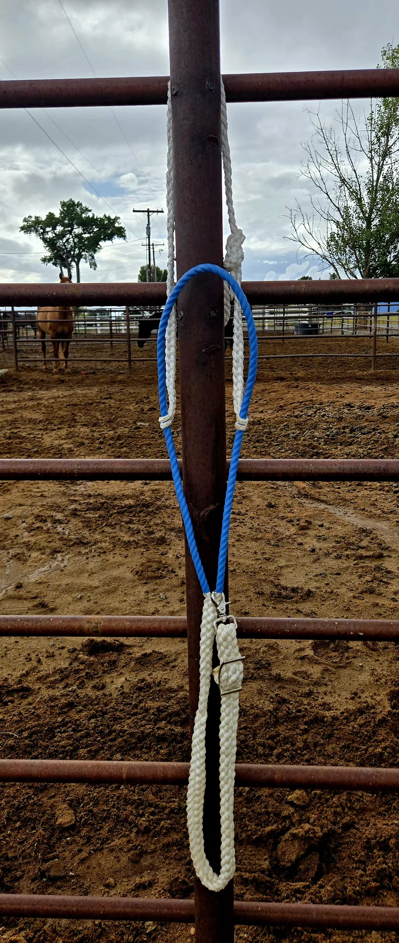 Royal blue and tan braided piece hanging on an arena fence
