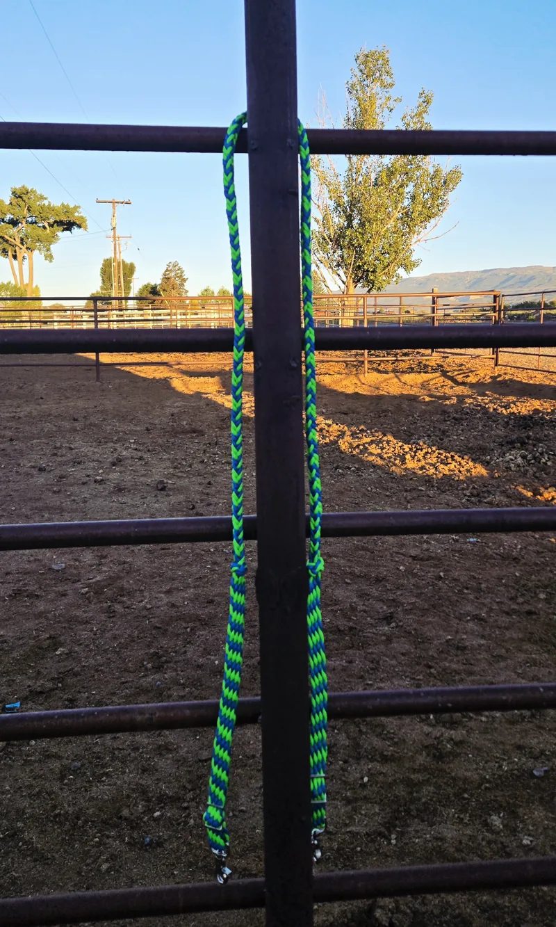 Green and black braided reins hanging on an arena pipe fence at sunrise