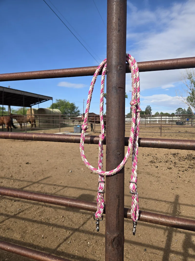 Pink Pony Club braided reins hanging on an arena fence