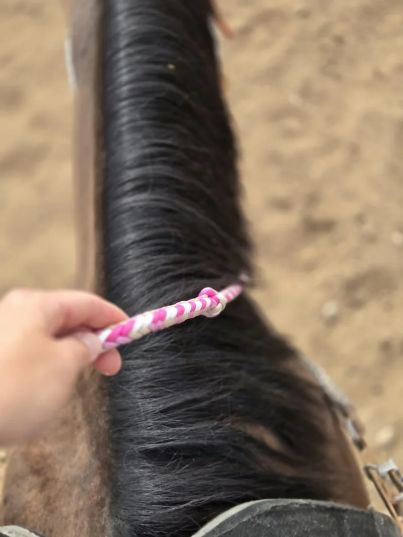 A hand holding a pink and white braided rein with a grip knot, on a bay horse