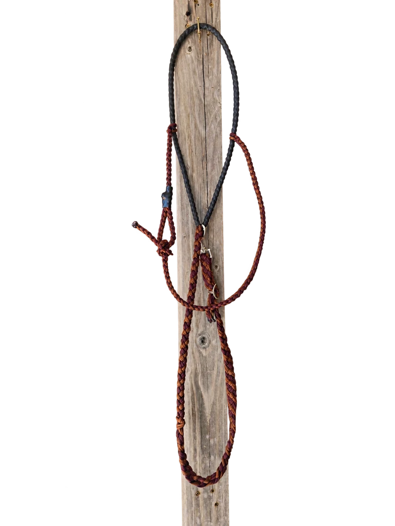 Black and burgundy braided reins hanging from a weathered wooden post