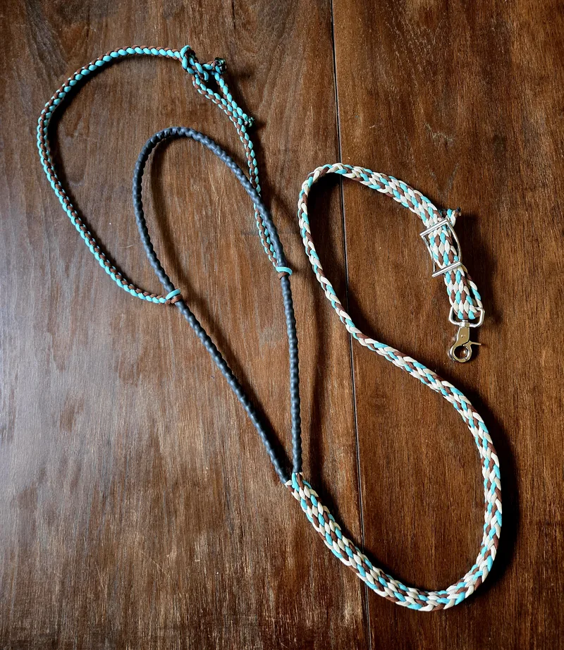 Turquoise and white braided reins with a black center section, on wood